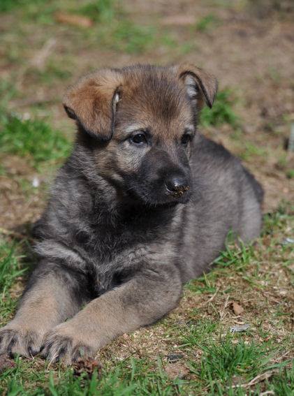 10425447_10204986464847820_6609105195738104980_n