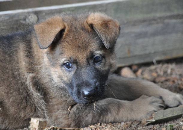 10473452_10204986464007799_6992926312370139814_n