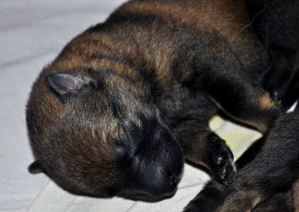 10599679_10204986460607714_8118089077031907927_n