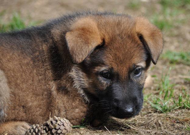 10606537_10204986466687866_2814250198105657462_n