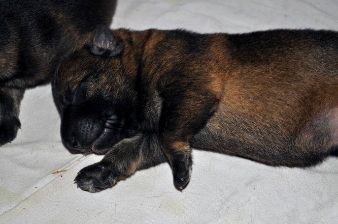 10645059_10204986460647715_2466066455099876902_n