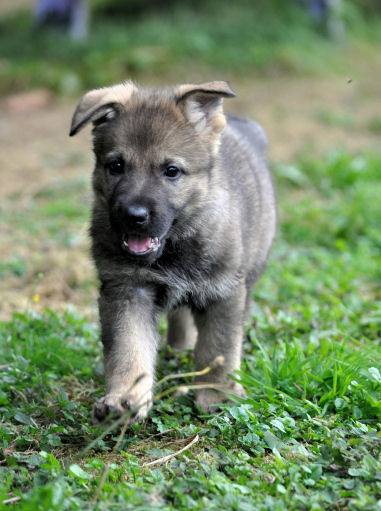 10646897_10204986465047825_6500038501888315868_n