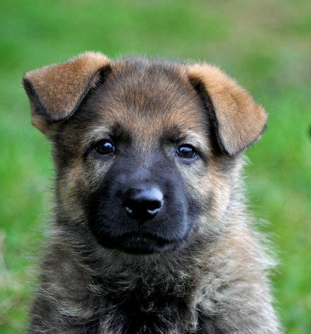 10646920_10204986465687841_3218449011807603044_n