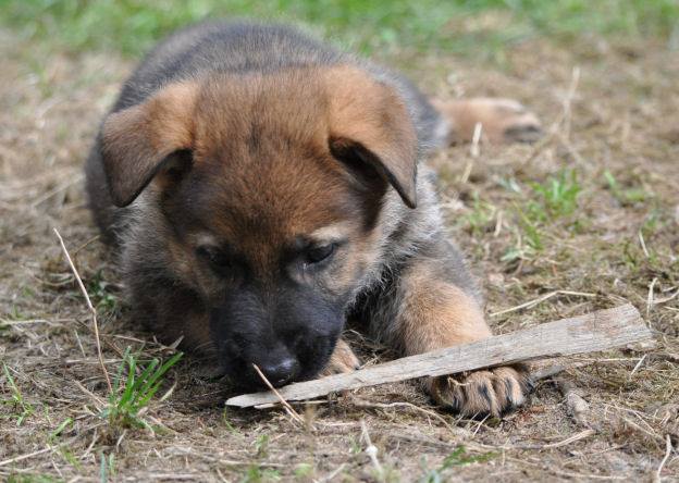 10649993_10204986466647865_6133443817041485901_n