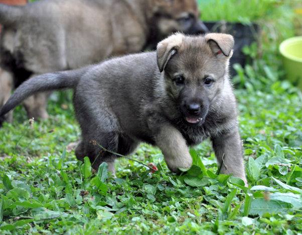 10650051_10204986465447835_6345206831131633613_n