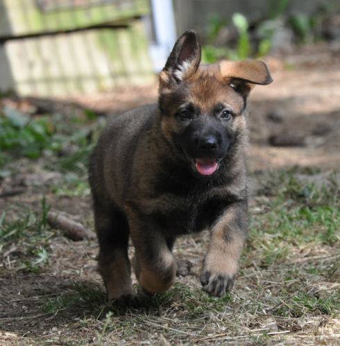 10678719_10204986463967798_3265284804588423635_n