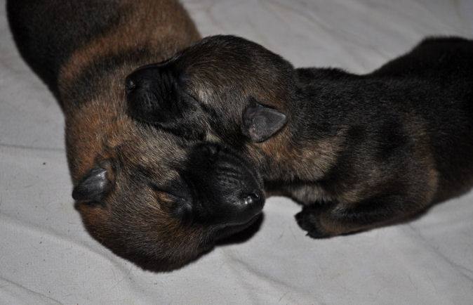 10690069_10204986460727717_6173395988104520577_n