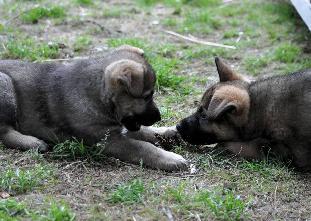 1461013_10204986463927797_4883717334718975398_n