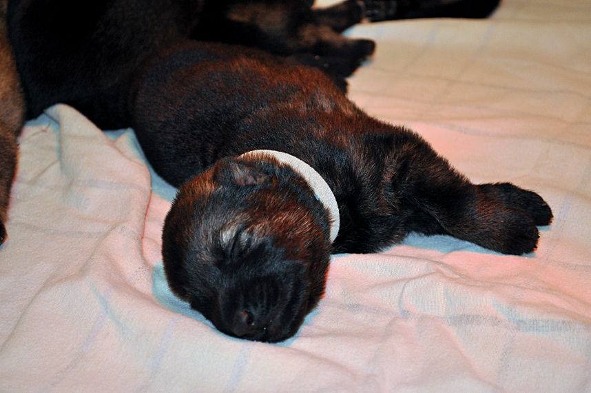 15284184_1283177418369837_6931539727402263411_n