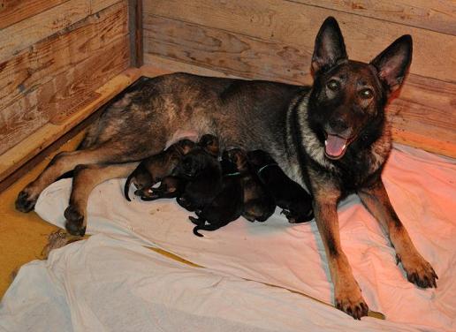 154357_10200152051150499_1670064544_n