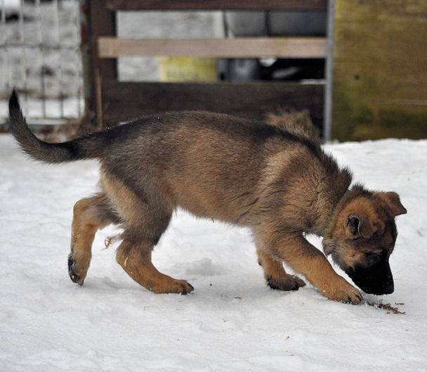 15871586_1331606310193614_2542140170366525112_n