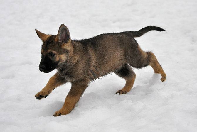 15871747_1332641730090072_1820089915886020714_n