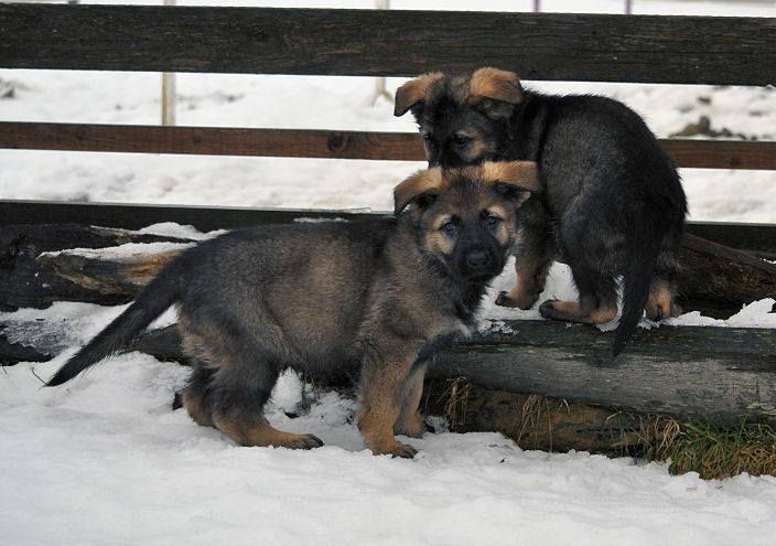 15895013_1332641043423474_5274162152226875510_n