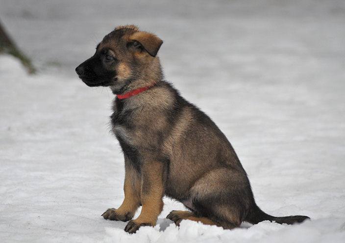 15940359_1332641090090136_9154576182977432480_n