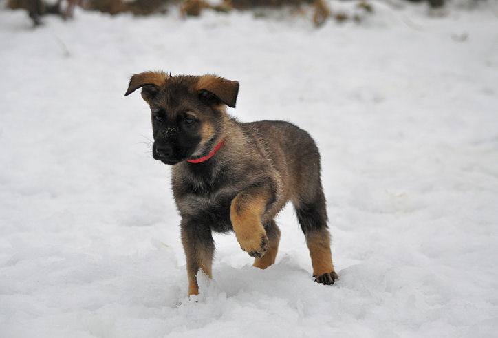 15940884_1332641296756782_5154581969846890839_n