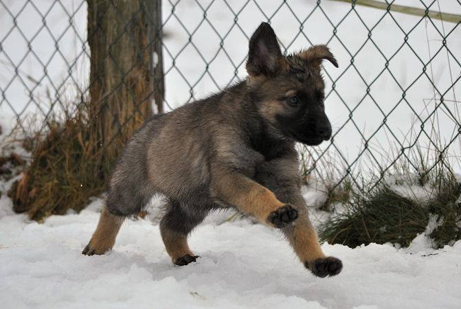 15941070_1332641743423404_7812771807595086875_n