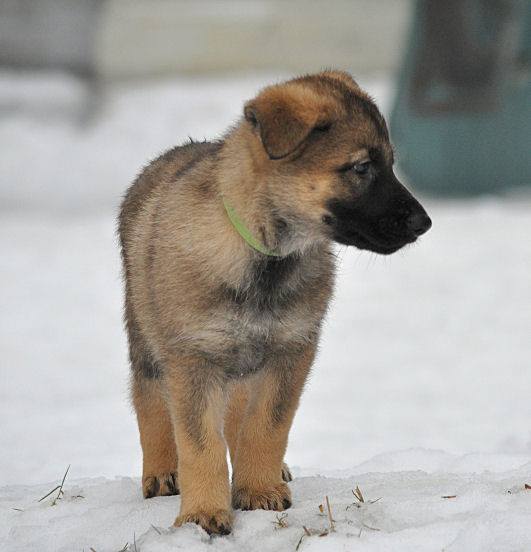 15941107_1332641086756803_275569826102606615_n