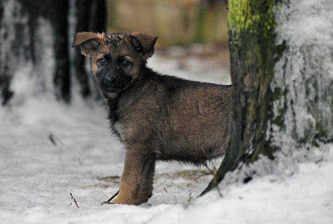 15941474_1332640700090175_3152000584968577595_n