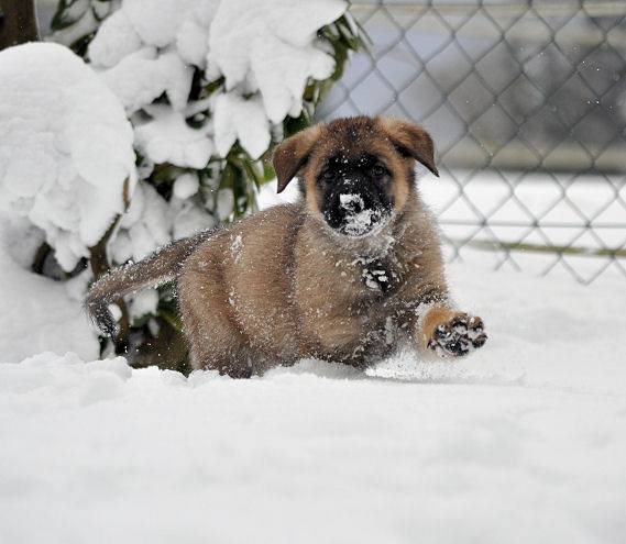 15965405_1338391996181712_572543585885316709_n