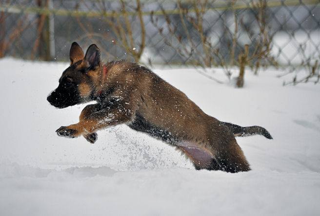 15965943_1338391912848387_1616796914738445729_n