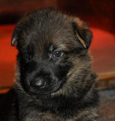 166905_2533940794324_1427671287_32925176_165665486_n