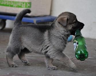 185496_4506439945570_1050150774_n