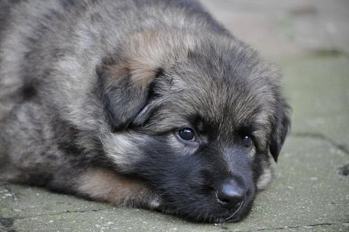 198674_2325472222740_1427671287_32717559_981187_n