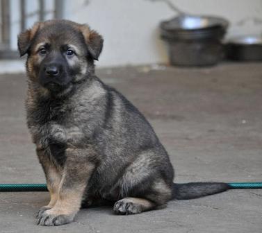 226117_2325471142713_1427671287_32717555_2509583_n