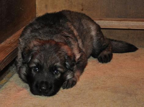 250146_2301391460736_1427671287_32684675_6581918_n