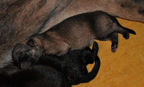 250832_4321587324370_1545671820_n