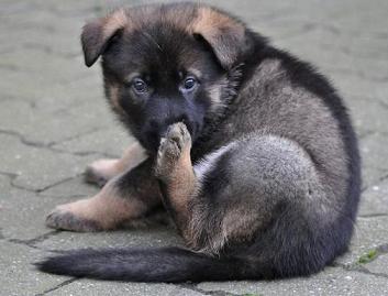 251554_2325471902732_1427671287_32717558_145884_n