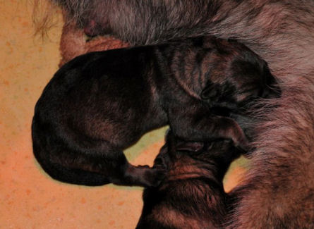 261339_2233716608907_1427671287_32590126_2080166_n