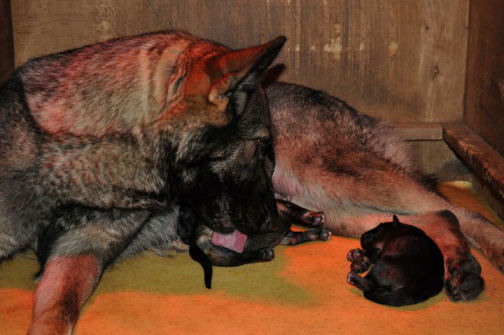 269534_2233717168921_1427671287_32590128_720626_n