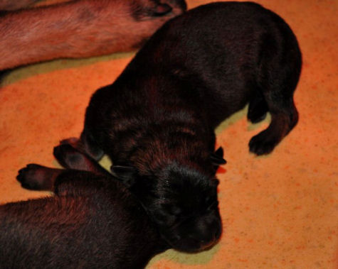 270767_2233716888914_1427671287_32590127_7290928_n