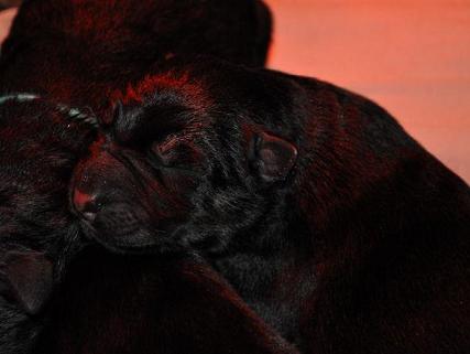 28084_10200152050950494_20223090_n