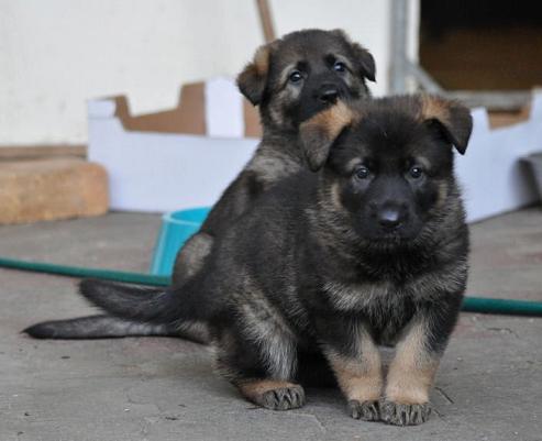 284493_2325471582724_1427671287_32717557_778782_n