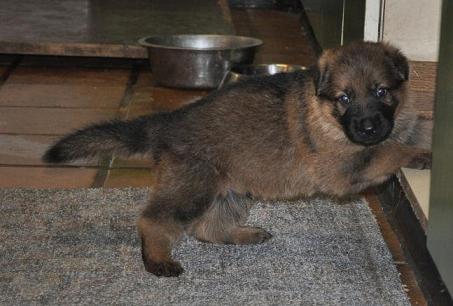 291892_2533942714372_1427671287_32925184_1023041008_n