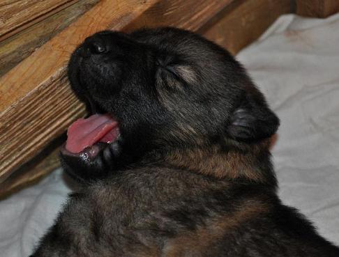 292768_2479677477775_1427671287_32883354_1543550249_n