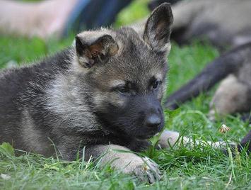 292901_4559753038364_2016978491_n