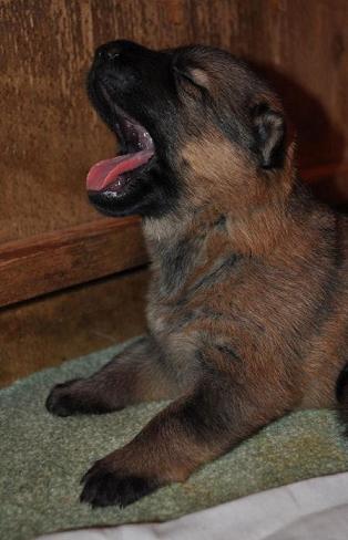 293463_2479678757807_1427671287_32883358_1063714778_n