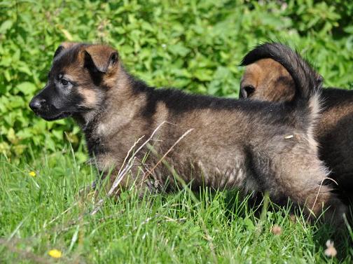 293492_2355036041817_1427671287_32756527_7453167_n