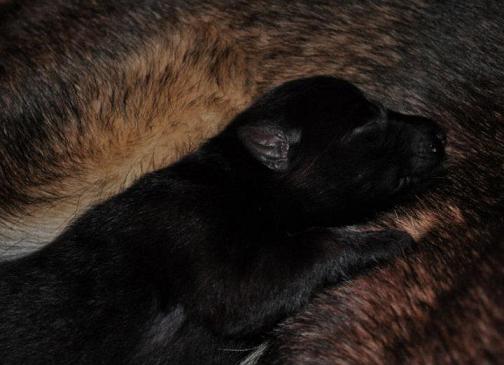 293529_2479653437174_1427671287_32883343_1304783616_n