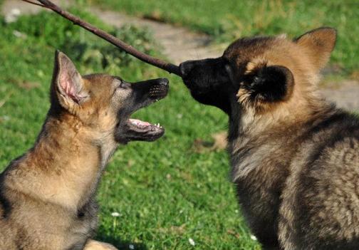 294277_2510960299826_1427671287_32908567_863166024_n