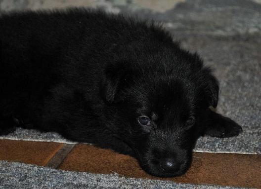 294767_2533941194334_1427671287_32925177_146358322_n