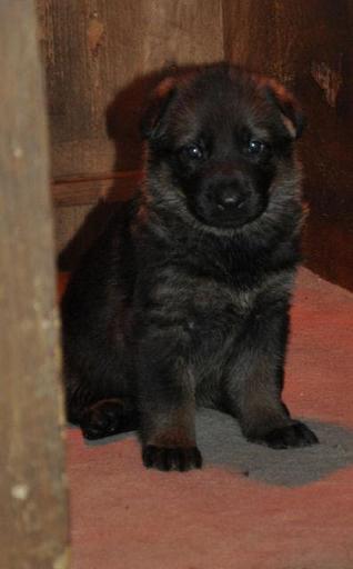 297075_2533940074306_1427671287_32925173_1683861933_n