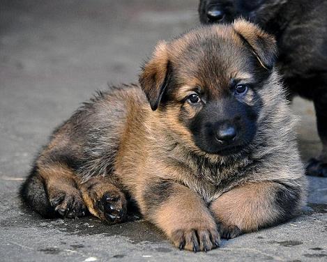 298381_2556309833536_1427671287_32941296_1566344497_n