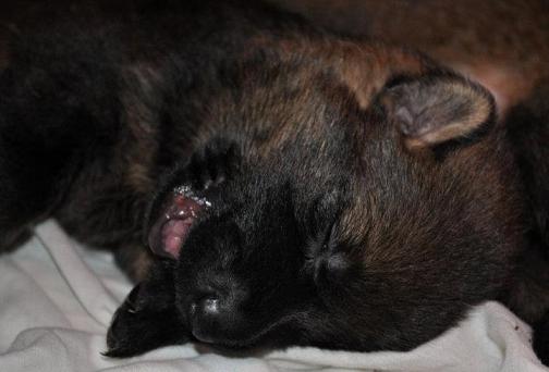 298920_2479679277820_1427671287_32883360_150106717_n