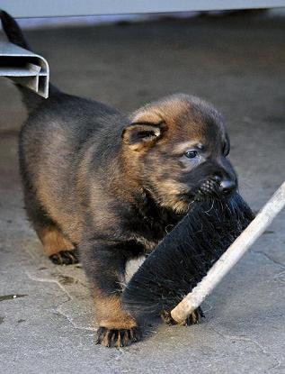 299246_2556298513253_1427671287_32941281_1209237313_n