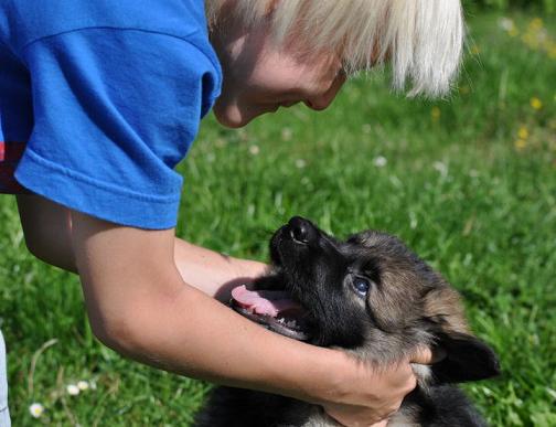 300197_2355028121619_1427671287_32756502_5632883_n