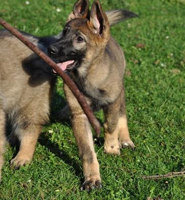 300239_2510960539832_1427671287_32908568_1685100945_n